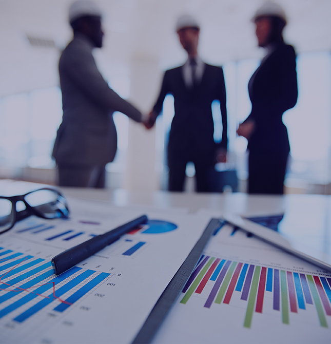 Gestão de Participação Empresarial e Investimentos